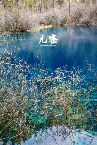汉视新闻 | 市委常委会召开（扩大）会议